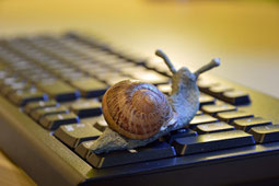 Schnecke auf externer Tastatur