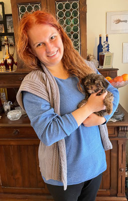 Hundewelpen, kleine Rasse, Bolonka Zwetna Österreich Bolonka Donautal
