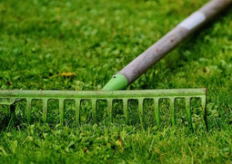 back pain while gardening