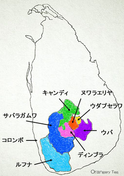 スリランカでは紅茶産地を大きく7つに分けています