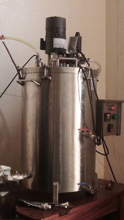 Planta piloto para la producción de biogas en matadero de reses