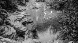 Foto in bianco e nero di un laghetto in un bosco visto dall'alto