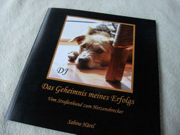 DJ - Das Geheimnis meines Erfolgs