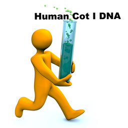 Humane COT I DNA, Cot-1 DNA, Cot i Human DNA