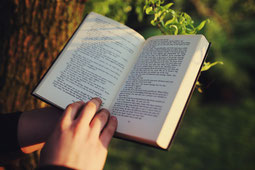 lecture au calme