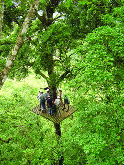 San Lorenzo Canopy Tour