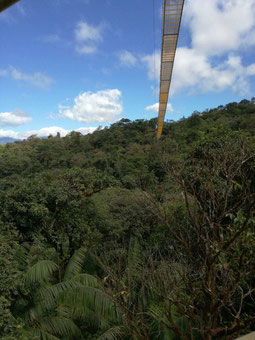 Tour de Rafting y Bungee desde La Fortuna