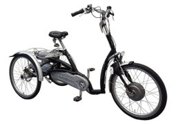 Dreirad Maxi Comfort von Van Raam