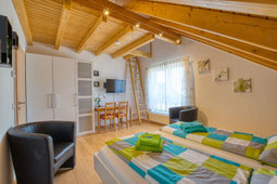 Apartment / Ferienwohnung Elisabeth Bondorf