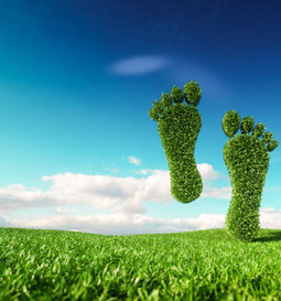 Our carbon footprint