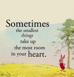 "Algunas veces las cosas más pequeñas ocupan el mayor espacio en tu corazón."