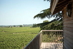 Blick aus dem Baumhaus des Relais Franc Mayne in die umliegenden Weinberge