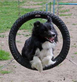 Agility is Fun!