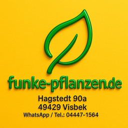 Funke-Visbek Funke Baumschulen Visbek  www.funke-pflanzen.de Funke Pflanzen Gemeinde  Visbek Hagstedt 90a  nahe Stadt Vechta  bei Oldenburg