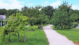 Le Jardin des Sens à Vélizy-Villacoublay.