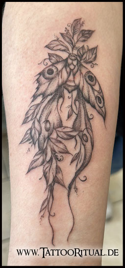 Fineline Tattoo Nachtfalter Filigran in Rostock
