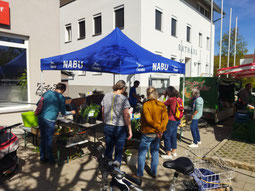 Foto: A. Papesch