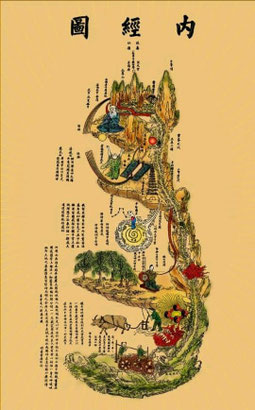 Carte de notre trame intérieur "Nei Jing Tu"