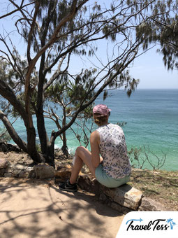 Dolphin Lookout Noosa