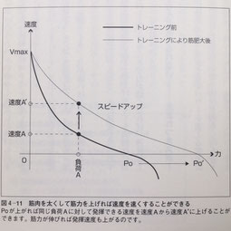 筋力とスピードの生理学的法則