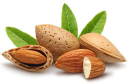 Turrón almendras