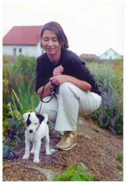 Parson Russell Terrier Parson Russell Zucht Welpen