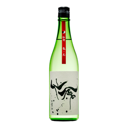 Modern Senkin Kameno