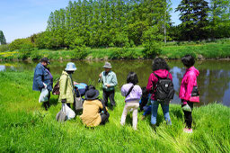 学校で観察会