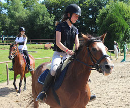 Stage d'équitation cours en reprise