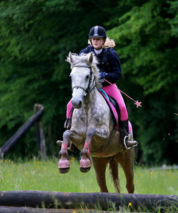 Stage d'équitation, cross et CCE 