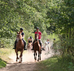 Stage d'équitation au galop dans la pépinière