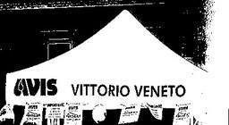 Gazebo con logo su mantovana