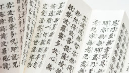 高齢者レクリエーション、アクティビティ代行：終活