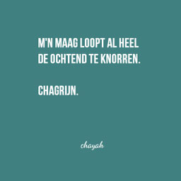 Mijn maag loopt al heel de ochtend te knorren. Chagrijn. Chayah Godschalk Visser, Oneliners, Humor, Quotes