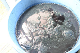 こちらＢの窯の方が元気がよさそうです