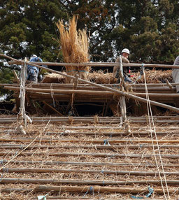 茅葺屋根の差し茅作業　長木足場は破風まで③