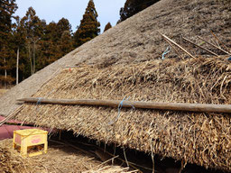 茅葺屋根の差し茅作業　長木足場は破風まで①
