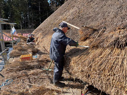 茅葺屋根の差し茅作業　軒の差し茅①