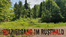 Spaziergang im Rustwad und Auwald