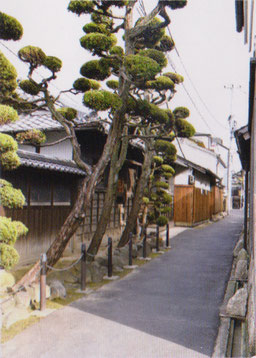 中高野街道