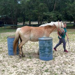 English riding at Horseback riding Pony Gang Camps