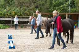 Fortbildung-Hundetrainer-Norddeutschland