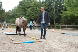 Online-Fortbildung-Hundetrainer
