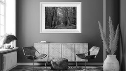 Black and white photo of a living room with a Delphicaphoto fine art print framed and hanging on the wall