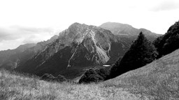 Black and white photo of an alpine landscape with a meadow in the foreground and mountains in the background