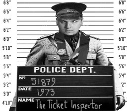 Mugshot-style photo of the Ticket Inspector