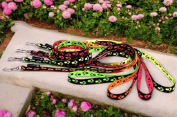 Leine einfach Sofa Dog Wear