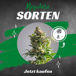 Reguläre Cannabis Sorten