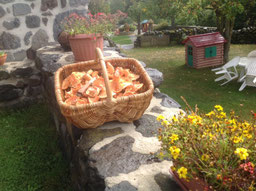 Activités à proximité de la chambre d'hôtes La Freycenette, Auvergne, Haute-Loire
