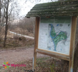 Naturschutzgebiet Kühkopf-Knoblochsaue